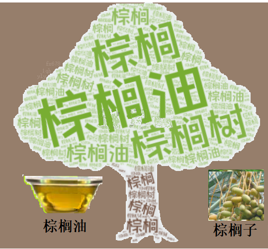 Ava爱华交易平台：马来西亚棕榈油产业受天气冲击，价格与产量前景波动